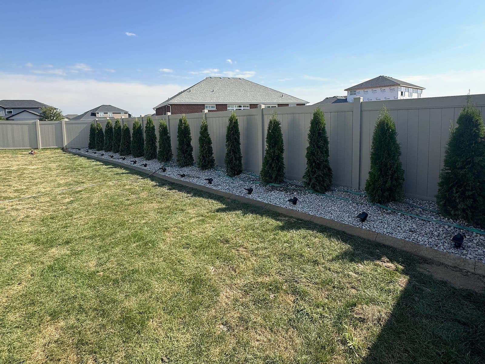 After: plain sod along a backyard fence, finished with a row of arborvitaes, white stone and stamped concrete curbing