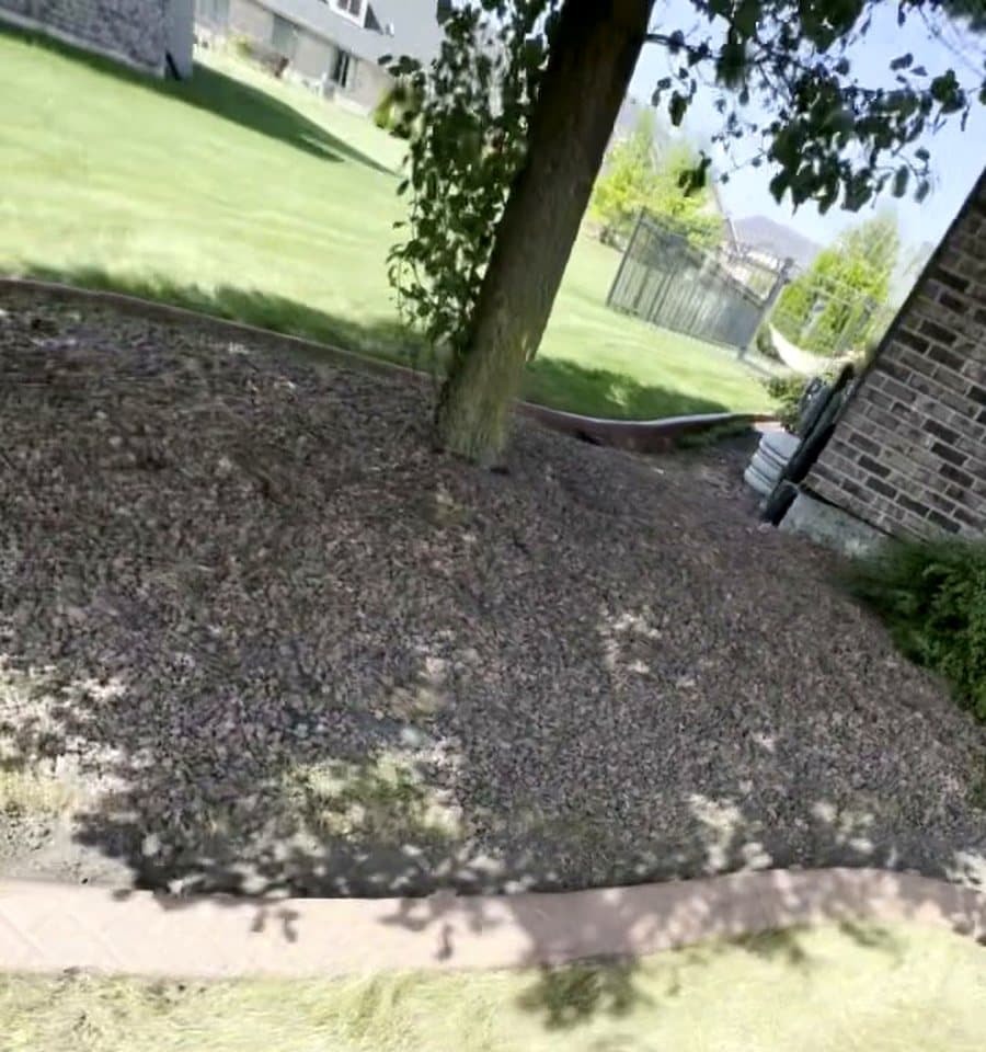 Concrete edging tree ring