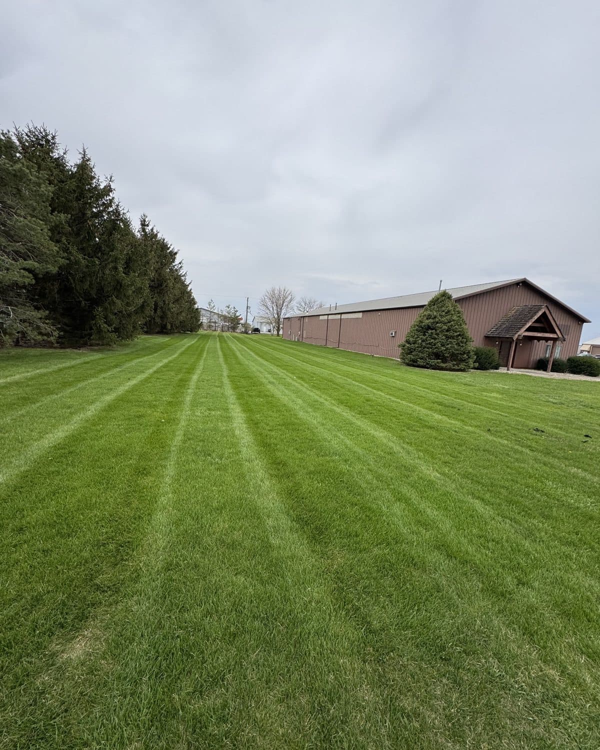 Thick striped lawn in the Manhattan, IL area after core aeration