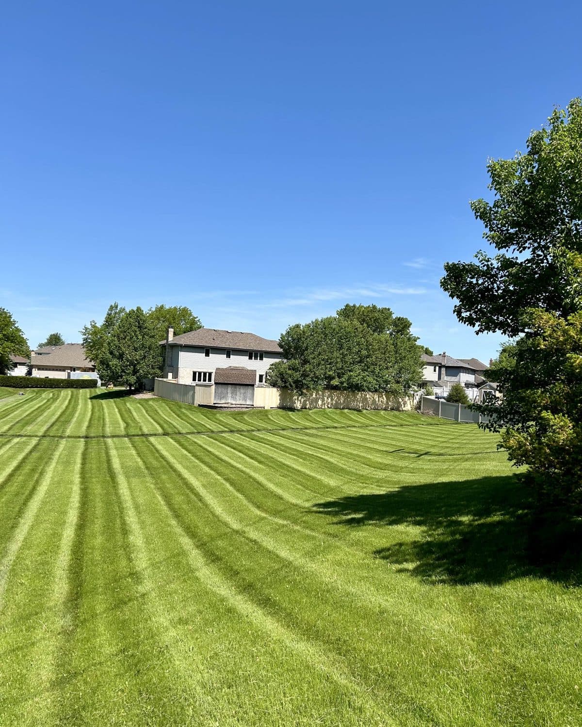 Thick green lawn beside a home
