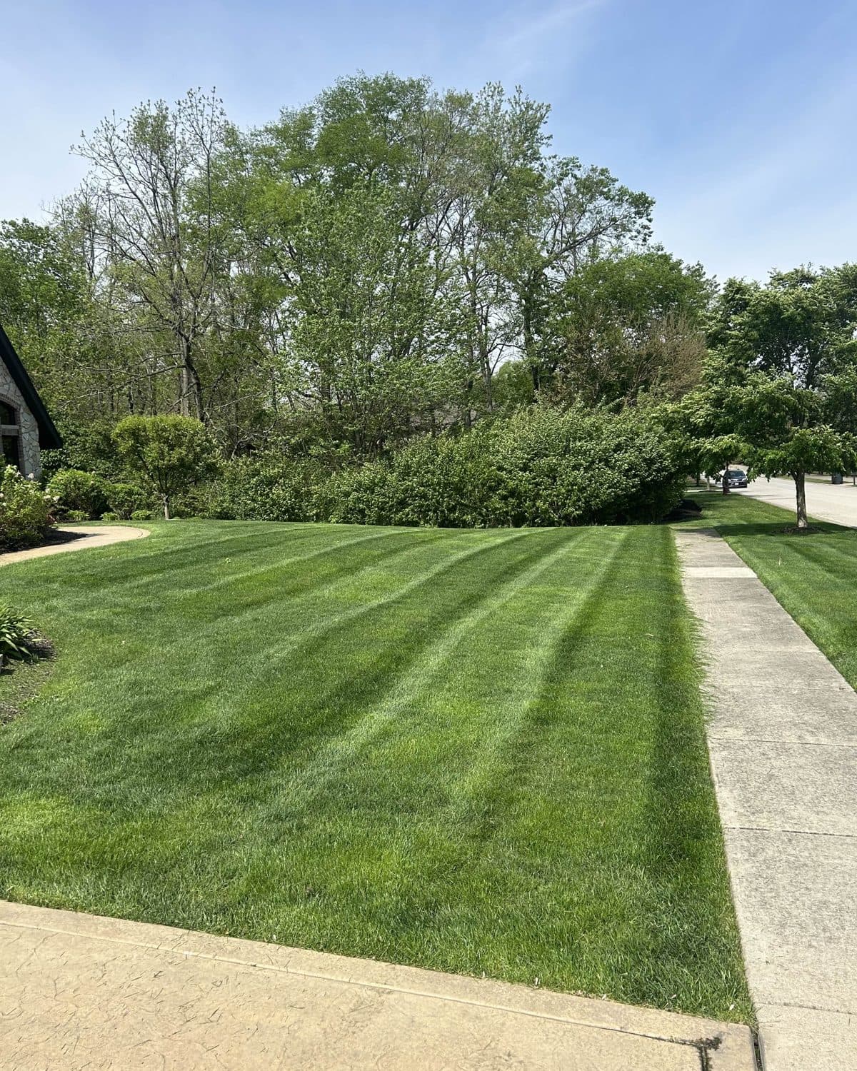 Backyard lawn along a walkway