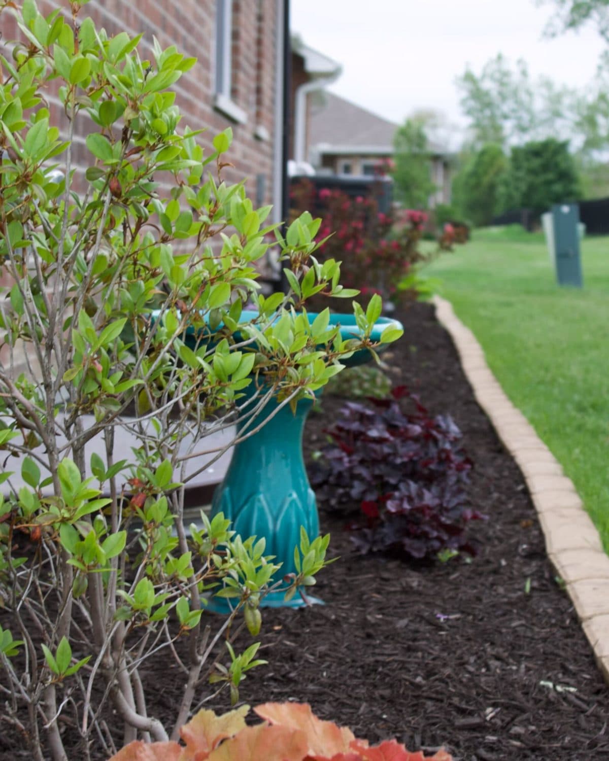 Mulched bed with a clean edge