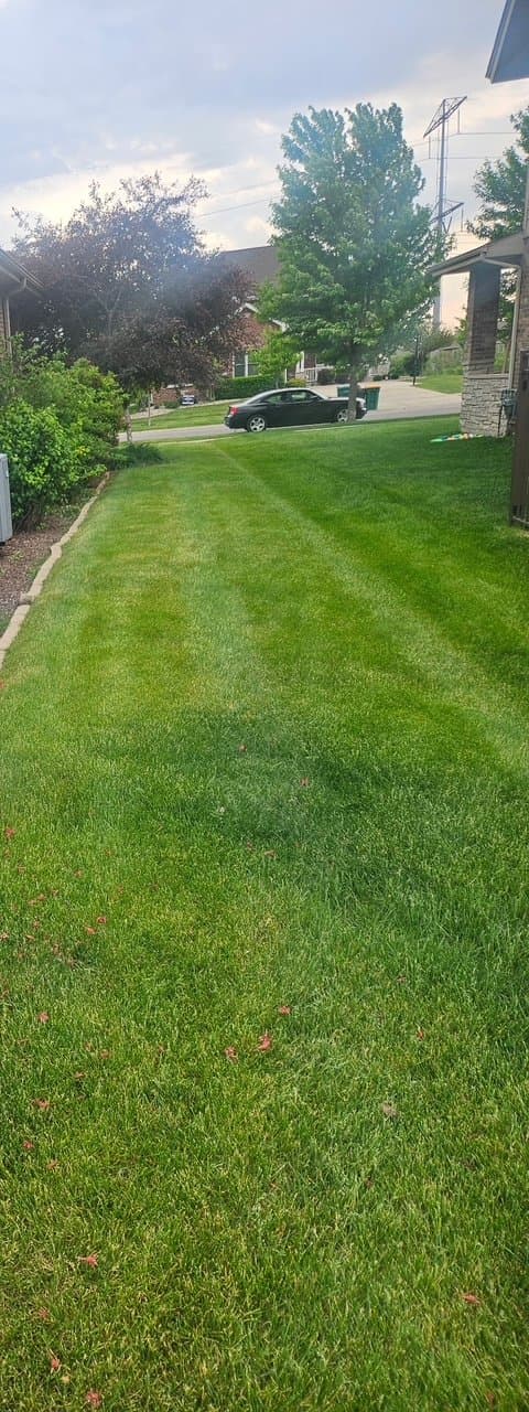 Well-maintained healthy lawn