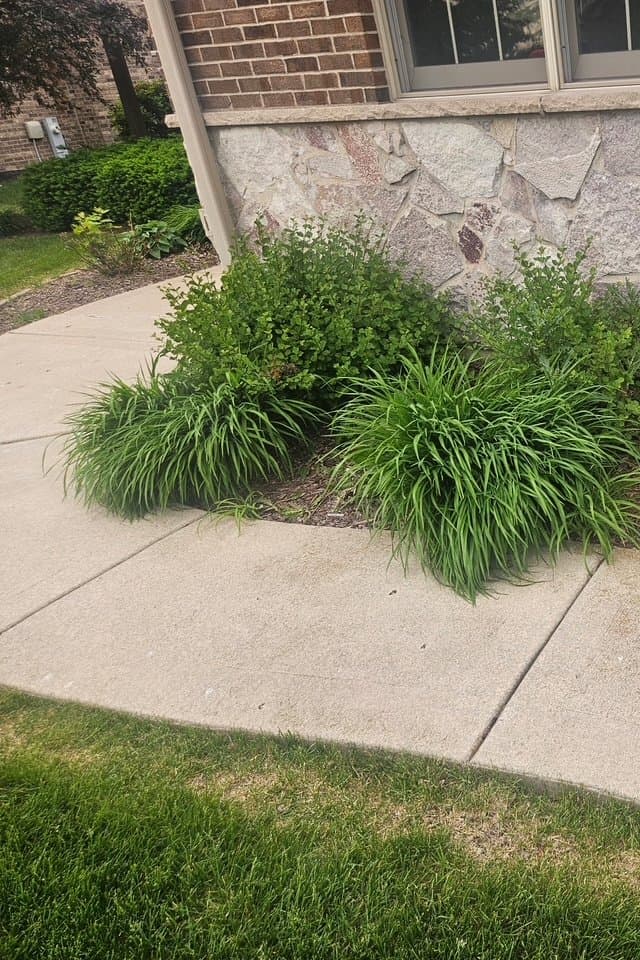 Person using a string trimmer/weed whacker along a grass edge