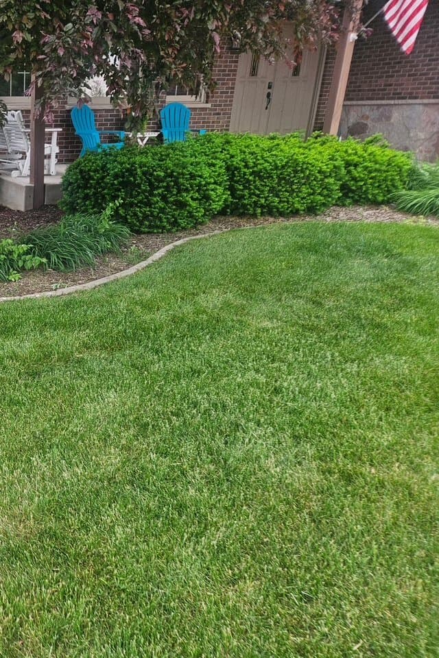 Neatly trimmed porch hedges and refreshed curb appeal