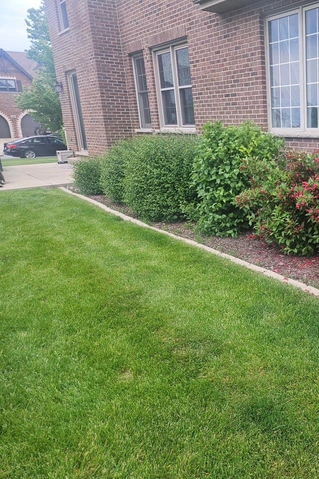 Close-up of a red push lawn mower cutting green grass