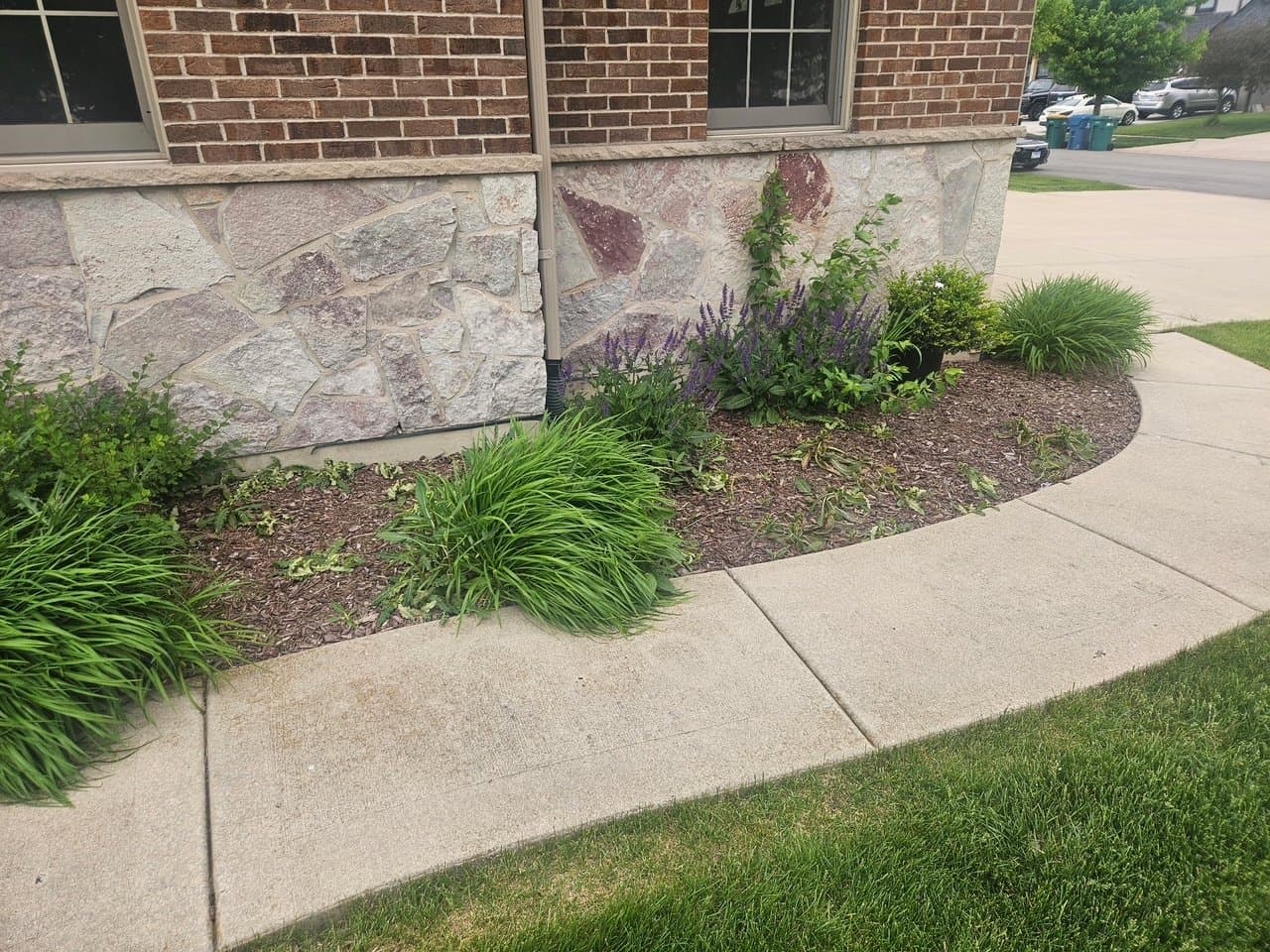 Landscaping Ideas for Manhattan, IL Homes