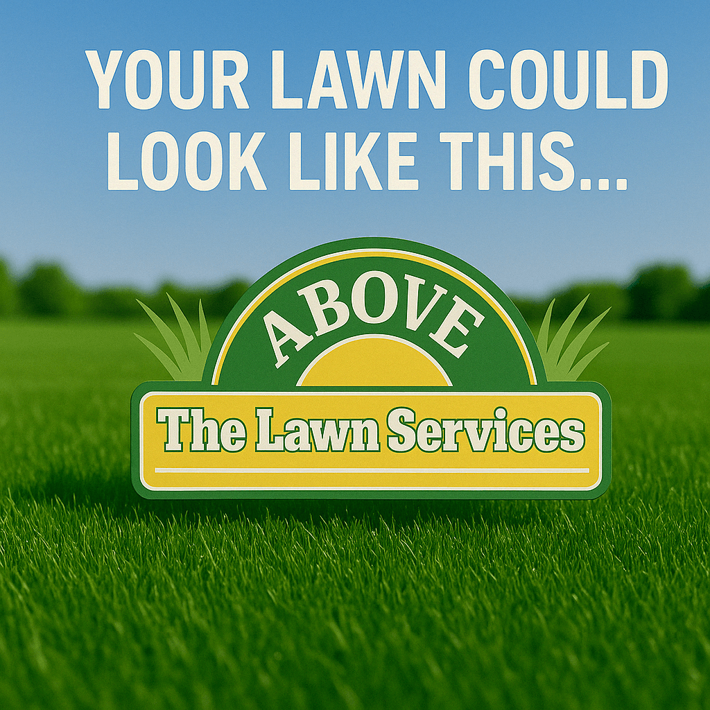 Above the Lawn Services - your lawn could look like this