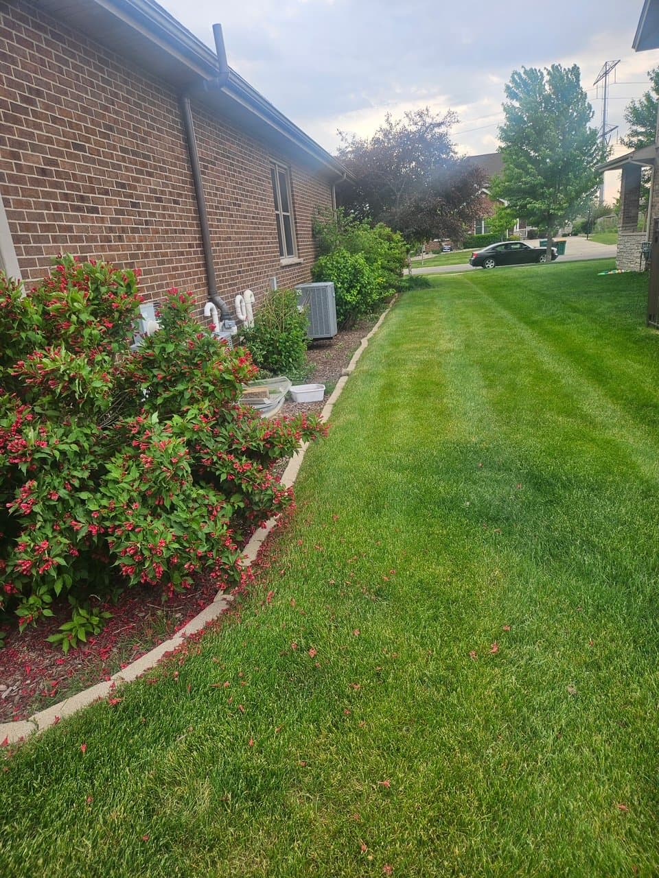 Well-maintained healthy lawn alongside flowering landscape beds