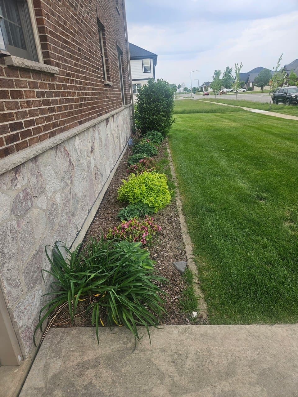 Cleaned-up side yard landscape bed with trimmed plants and fresh edging