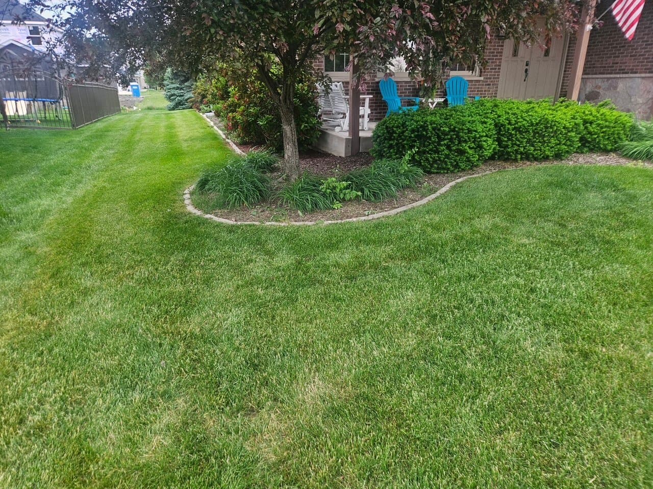 Crisp curved bed edging around a tree with a freshly striped lawn