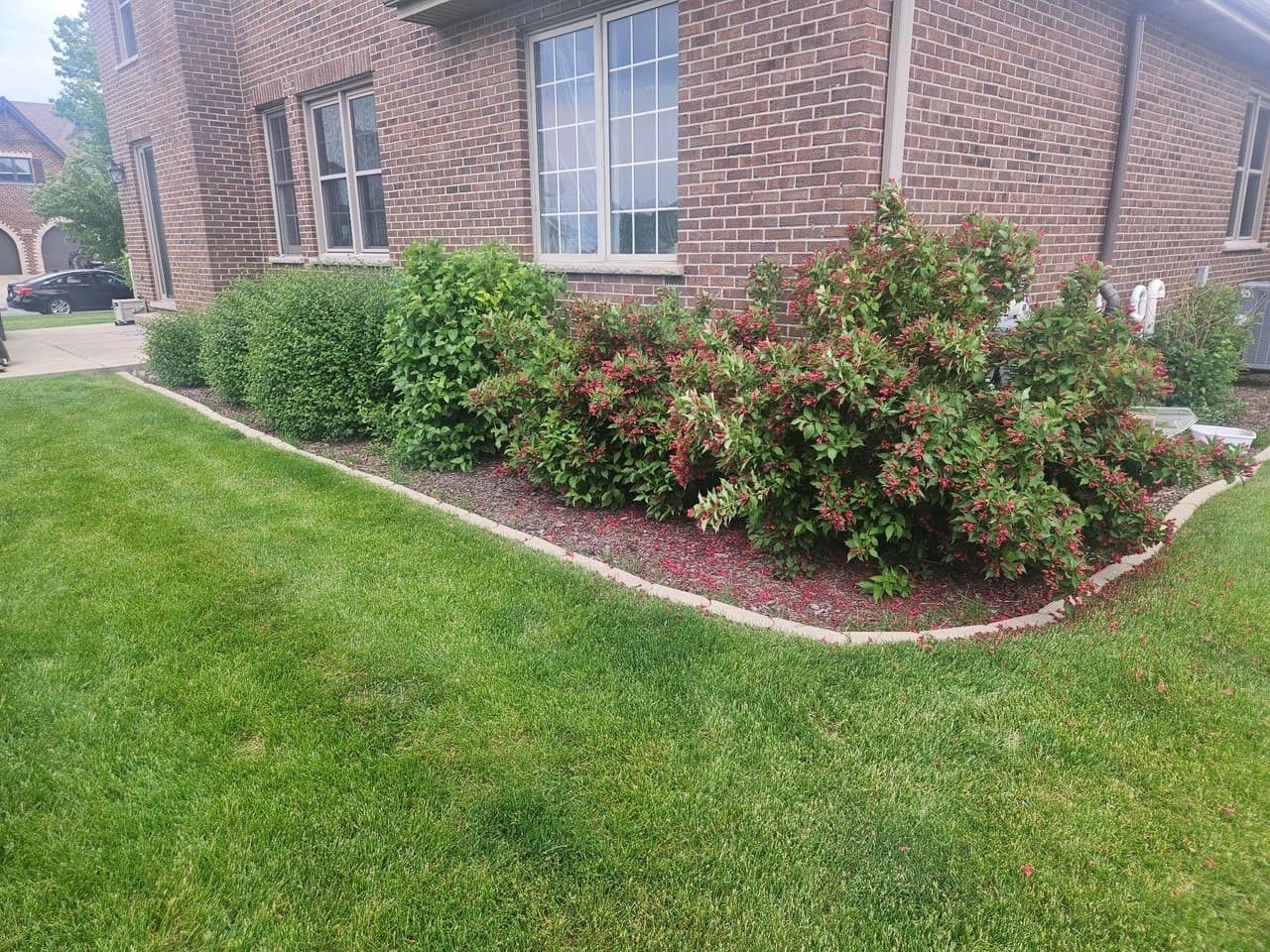 When to Trim Bushes in Illinois
