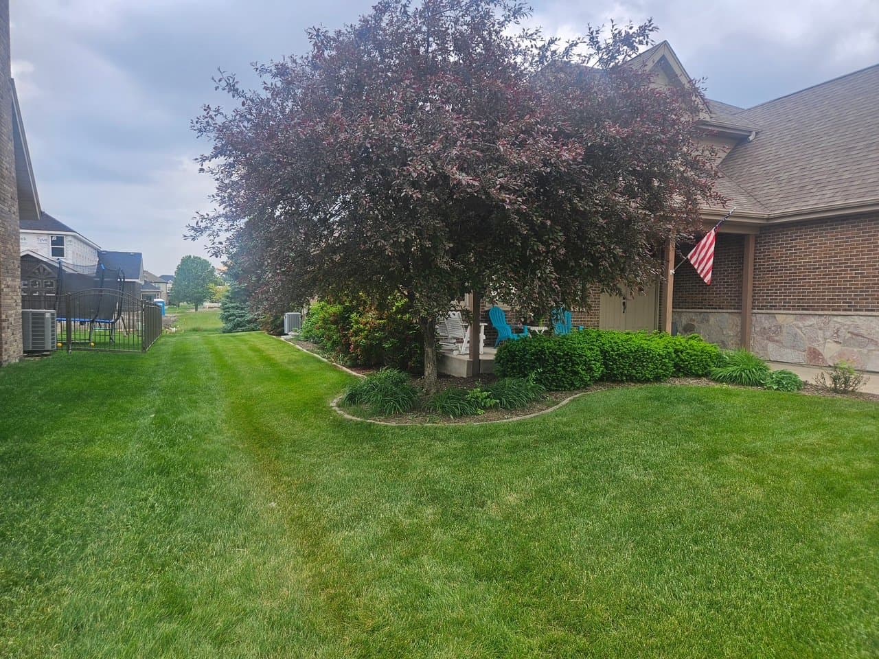 Tidy backyard lawn with a clean tree ring and edged landscape beds