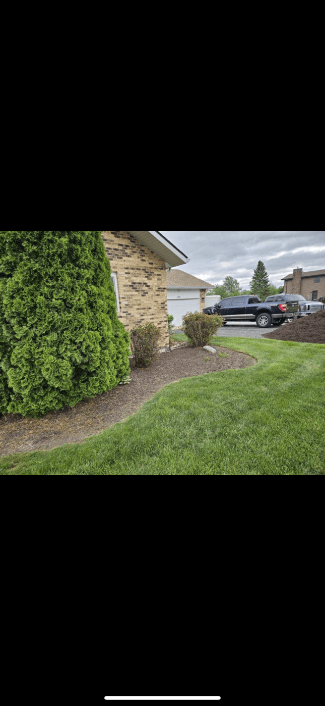 Landscape bed with faded mulch before refresh
